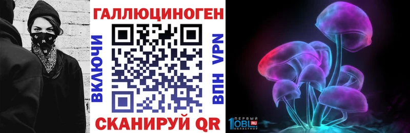 Галлюциногенные грибы Psilocybe  Кострома 