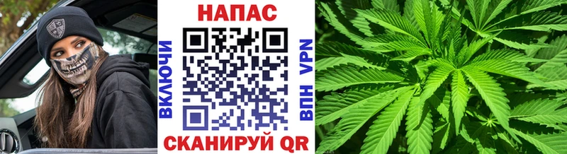 Шишки марихуана сатива  как найти наркотики  Кострома 